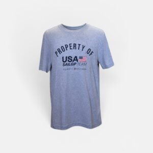 Tommy Hilfiger T-shirt (Gray)
